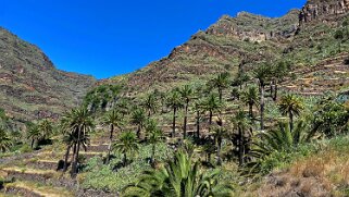 Barranco del Agua - Valle Gran Rey - La Gomera La Gomera 2023