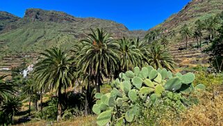 Barranco del Agua - Valle Gran Rey - La Gomera La Gomera 2023