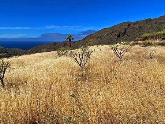 Barranco de Tazo La Gomera - Canaries - Espagne