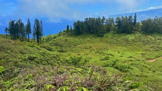 Waihee Ridge Trail - Maui Hawaii 2024