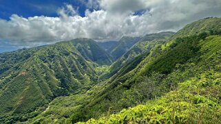 Waihee Ridge Trail - Maui null