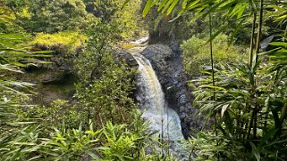 Pipiwai Trail - Maui Hawaii 2024