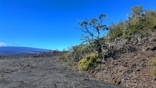 Pu'u Huluhulu - Big Island Hawaii 2024