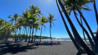 Punaluʻu Beach - Big Island null