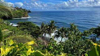 Honoli'i Beach - Big Island null