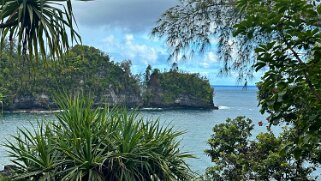 Onomea Bay - Big Island null