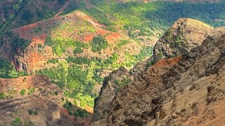 Waimea Canyon State Park - Kauai Hawaii 2024