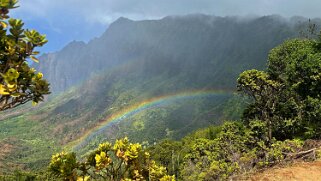 2024 Hawaii