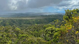 Pu’u O Kila - Kauai Hawaii 2024