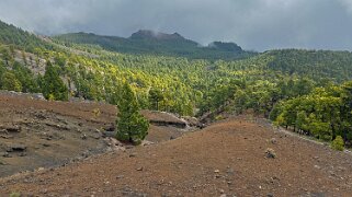 Llano de la Mosca - La Palma La Palma 2024
