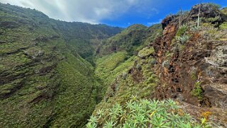 Los Castro - Barlovento - La Palma La Palma 2024