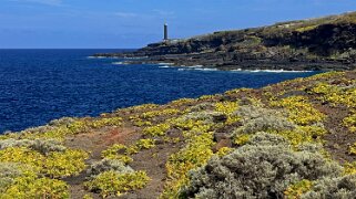 La Fajana - La Palma null