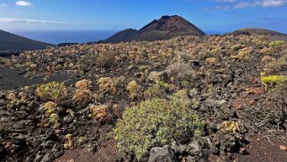 Volcan de Teneguia 428 m - La Palma La Palma 2024