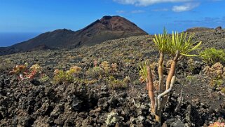 Volcan de Teneguia 428 m - La Palma null