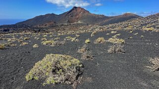 Volcan de Teneguia 428 m - La Palma La Palma 2024