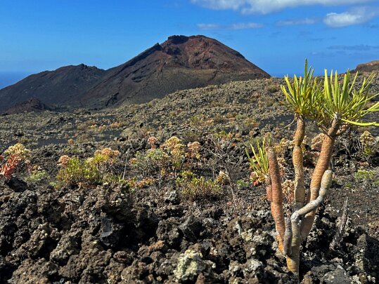 Fuencaliente La Palma - Canaries - Espagne