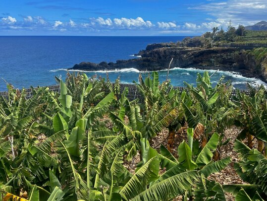 El Charco Azul Piscina Natural La Palma - Canaries - Espagne