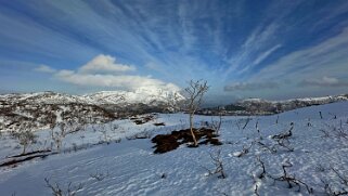 Hagskaret - Lofoten Lofoten 2024