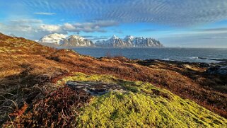 Malnes - Lofoten null