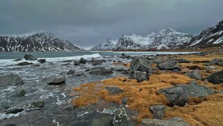 Skagsanden - Lofoten Lofoten 2024