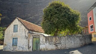 Chã de Igreja Cap-Vert 2025