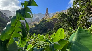 Xôxô - Rabo Curto - Ribeira Grande null