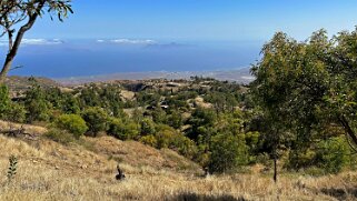 Cova Cap-Vert 2025