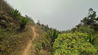 Nova Sintra Cap-Vert 2025