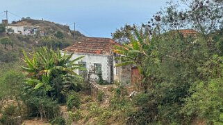 Nova Sintra Cap-Vert 2025