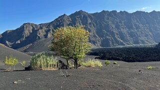 Parque Natural do Fogo Cap-Vert 2025