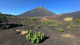 Pico de Fogo 2829 m - Parque Natural do Fogo Cap-Vert 2025