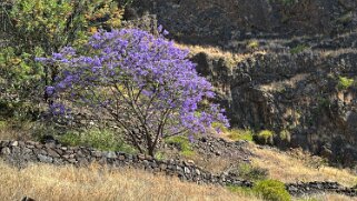 Parque Natural do Fogo Cap-Vert 2025