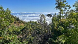 Monte Velha Cap-Vert 2025