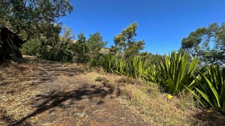 Monte Velha Cap-Vert 2025