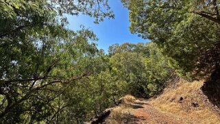 Monte Velha Cap-Vert 2025