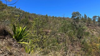 Monte Velha Cap-Vert 2025