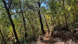 Monte Velha Cap-Vert 2025