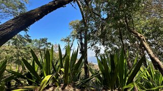 Monte Velha Cap-Vert 2025
