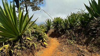 Monte Velha Cap-Vert 2025