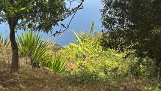 Monte Velha Cap-Vert 2025