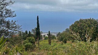 Monte Velha Cap-Vert 2025