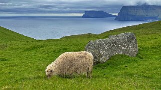 Kallur - Kalsoy Iles Féroé 2025