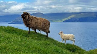 Kallur - Kalsoy Iles Féroé 2025