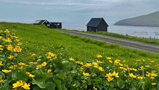 Trøllkonufingur - Vágar Iles Féroé 2025
