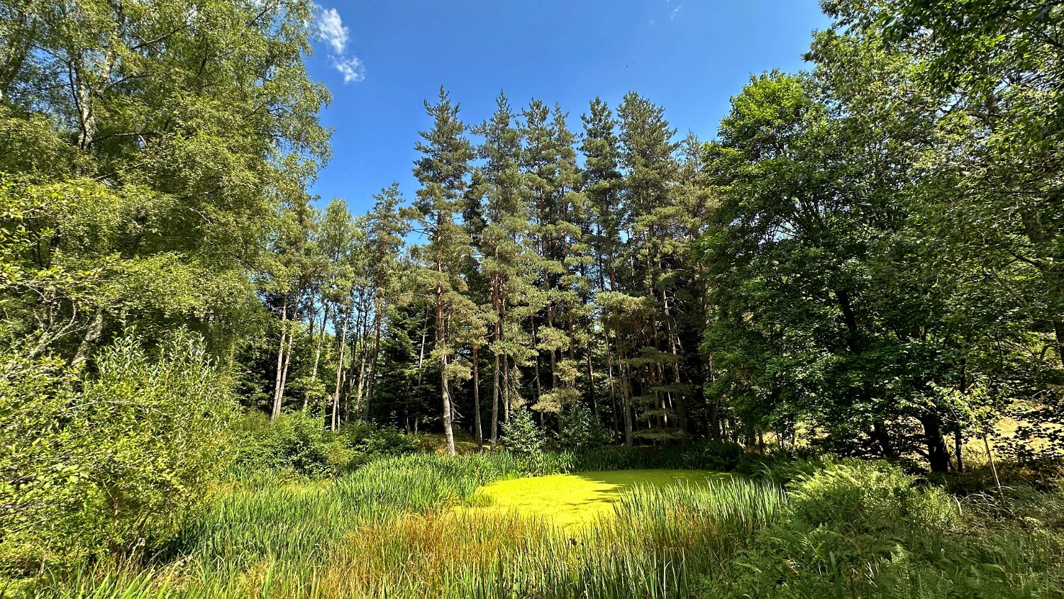 Vallée de La Cance Haute-Ardèche 2025