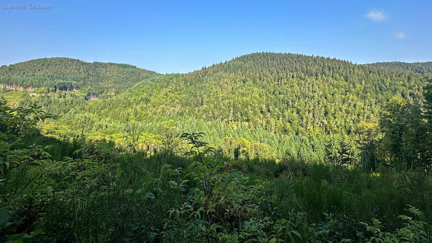 Vallée de La Cance Haute-Ardèche 2025