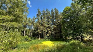 Vallée de La Cance Haute-Ardèche 2025