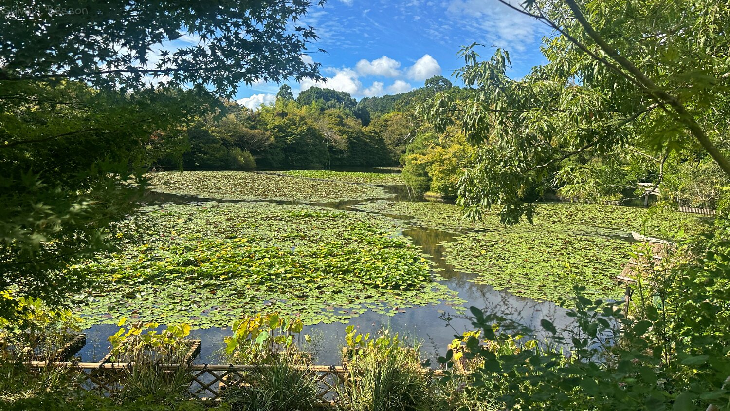 Ryoanji Goryonoshitacho - Kyoto Japon 2025