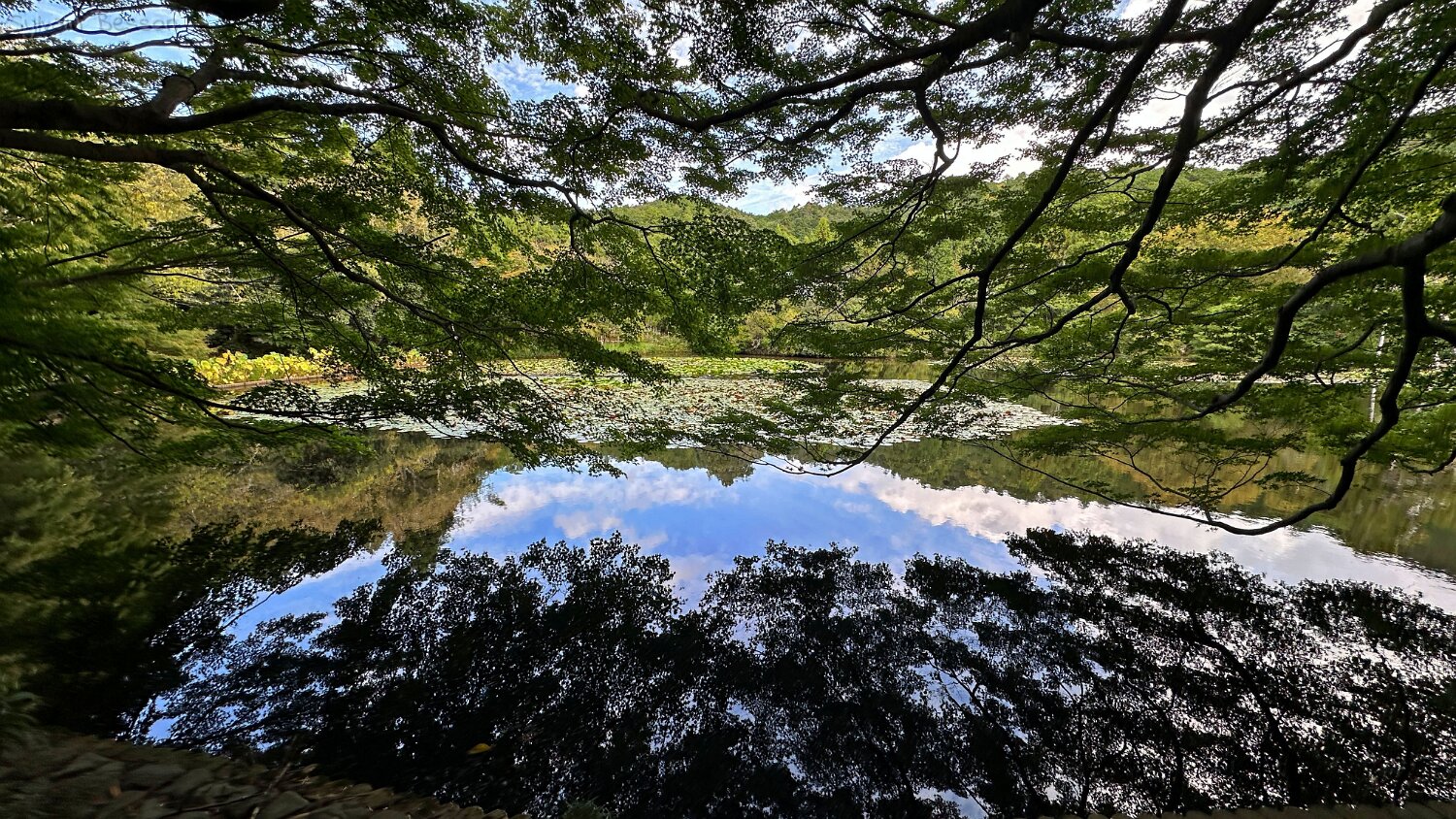 Ryoanji Goryonoshitacho - Kyoto Japon 2025