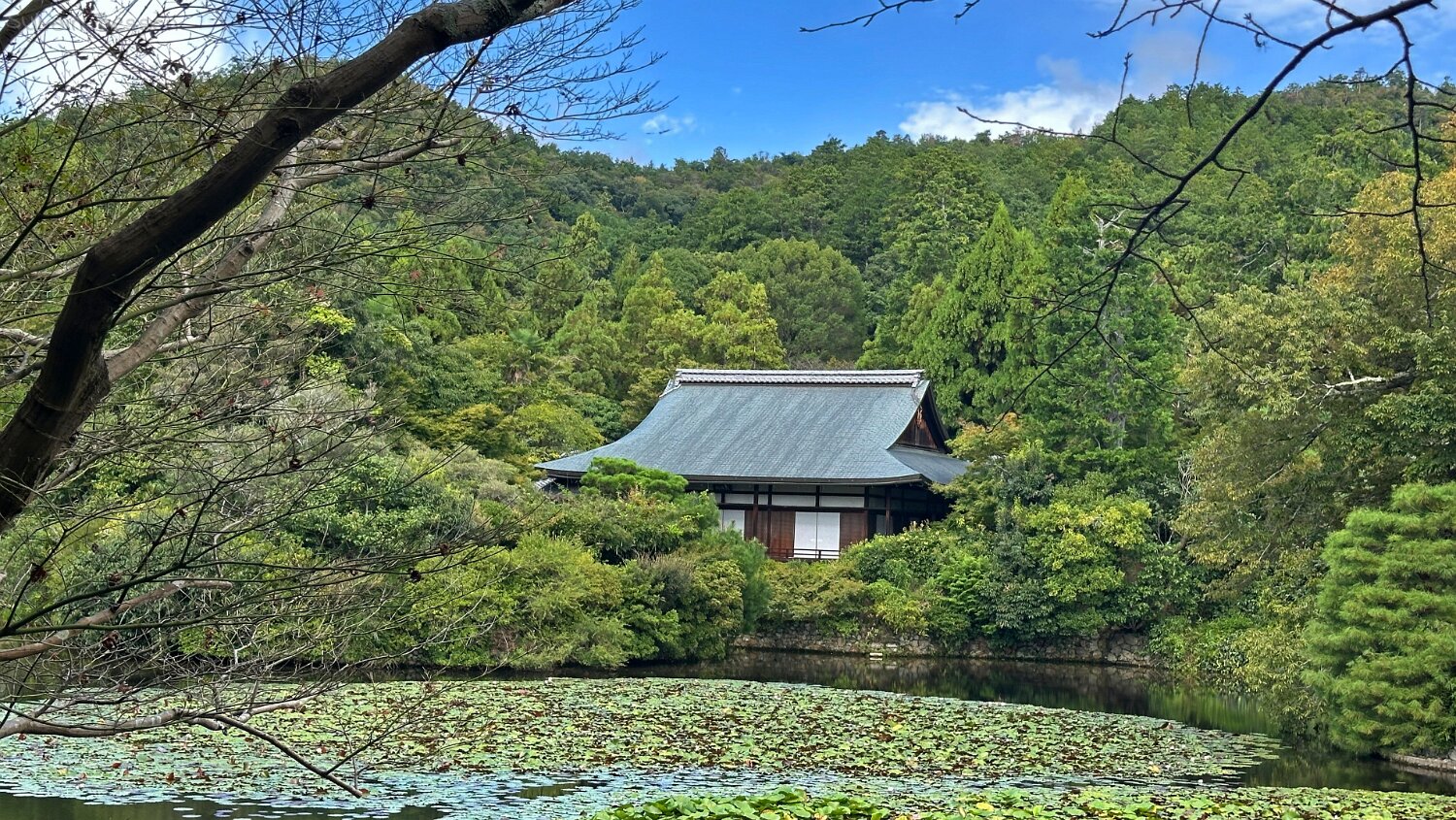Ryoanji Goryonoshitacho - Kyoto Japon 2025
